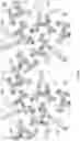 Fig. 06 - AMANTADINE BINDING PROTEIN