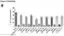 Fig. 09 - MHC class Ia open conformers