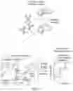 Fig. 02 - COMPOSITIONS AND METHODS FOR IMMUNOTHERAPY PROFILING