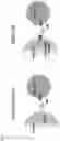 Fig. 02 - Methods and composition for a binding molecule targeting cancer cells expressing SSX2 peptide 41-49 in HLA-A*0201 context