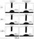 Fig. 04 - BIOGRADABLE MATERIAL AND PREPARATION METHOD AND APPLICATION