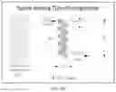 Fig. 13 - Process for regenerating a monolithic, macro-structural, inter-penetrating elastomer network morphology from ground tire rubber particles