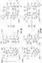 Fig. 09 - DYE CROSSLINK