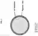 Fig. 02 - COATED PARTICLES FOR TURF INFILL