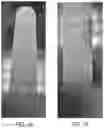 Fig. 02 - Coating compositions containing low molecular weight chitosan composition