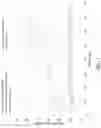 Fig. 04 - INK COMPOSITION INCLUDING A MODIFIED FATTY ALCOHOL POLYGLYCOL ETHER SURFACTANT