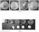 Fig. 02 - HEAT-SENSITIVE AQUEOUS POLYURETHANE DISPERSION AND METHOD FOR PREPARING THE SAME