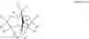 Fig. 02 - Curable silicone composition, cured product of same and method for producing same
