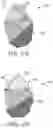 Fig. 05 - Partially shaped abrasive particles, methods of manufacture and articles containing the same