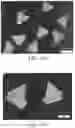 Fig. 11 - Partially shaped abrasive particles, methods of manufacture and articles containing the same