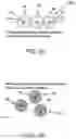 Fig. 04 - Highly tunable fluorescent core-shell particles for environmental release simulation and tracking applications