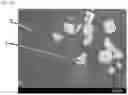Fig. 14 - CERAMIC COMPLEX, LIGHT EMITTING DEVICE, AND METHOD FOR PRODUCING CERAMIC COMPLEX