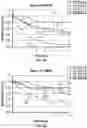 Fig. 06 - METHODS AND SYSTEM FOR A MIXED LIQUID OXIDANT