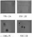 Fig. 03 - LIQUID TREATMENT COMPOSITIONS COMPRISING DELIVERY PARTICLES BASED ON PLANT ROSIN MATERIAL