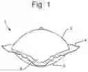 Fig. 02 - Water-soluble unit dose article