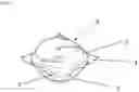 Fig. 02 - WATER-SOLUBLE UNIT DOSE ARTICLE