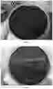Fig. 02 - MEDIUM FOR PRIMARY ISOLATION OF PORPHYROMONAS GINGIVALIS, AND A MEDIUM FOR PREPARING THE MEDIUM AND USE THEREOF
