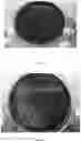 Fig. 03 - MEDIUM FOR PRIMARY ISOLATION OF PORPHYROMONAS GINGIVALIS, AND A MEDIUM FOR PREPARING THE MEDIUM AND USE THEREOF