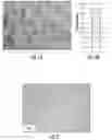 Fig. 02 - CELL CULTURE ARTICLE AND METHODS THEREOF