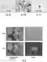 Fig. 04 - CELL CULTURE ARTICLE AND METHODS THEREOF