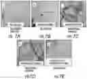 Fig. 05 - CELL CULTURE ARTICLE AND METHODS THEREOF