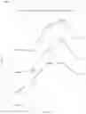 Fig. 08 - SPERM PROCESSING METHOD, APPARATUS AND RELATED MEDIA COMPOSITIONS