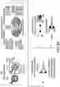 Fig. 16 - Compositions and methods of expansion of T cell populations