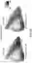 Fig. 20 - Compositions and methods of expansion of T cell populations