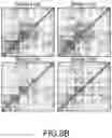 Fig. 34 - Compositions and methods of expansion of T cell populations