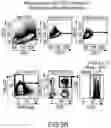 Fig. 36 - Compositions and methods of expansion of T cell populations
