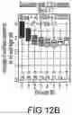 Fig. 46 - Compositions and methods of expansion of T cell populations