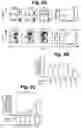 Fig. 04 - Methods of cell culture for adoptive cell therapy