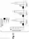 Fig. 06 - Methods of cell culture for adoptive cell therapy