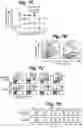 Fig. 08 - Methods of cell culture for adoptive cell therapy