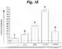 Fig. 23 - Methods of cell culture for adoptive cell therapy