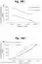 Fig. 26 - Methods of cell culture for adoptive cell therapy