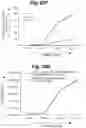 Fig. 38 - Methods of cell culture for adoptive cell therapy