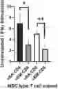 Fig. 01 - COMPOSITIONS AND METHODS FOR EXTRACTION OF MESENCHYMAL STEM CELLS