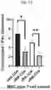 Fig. 16 - COMPOSITIONS AND METHODS FOR EXTRACTION OF MESENCHYMAL STEM CELLS