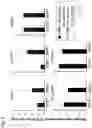 Fig. 11 - METHOD FOR INDUCING DIFFERENTIATION OF ALVEOLAR EPITHELIAL CELLS