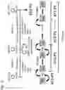 Fig. 14 - METHOD FOR INDUCING DIFFERENTIATION OF ALVEOLAR EPITHELIAL CELLS