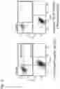 Fig. 21 - METHOD FOR INDUCING DIFFERENTIATION OF ALVEOLAR EPITHELIAL CELLS