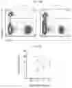 Fig. 16 - MODELING ONCOLOGY ON DEMAND