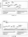 Fig. 03 - METHODS AND COMPOSITIONS FOR IMPROVING THE ASSEMBLY OF ADENO-ASSOCIATED VIRUSES (AAVs)