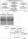 Fig. 07 - METHODS AND COMPOSITIONS FOR IMPROVING THE ASSEMBLY OF ADENO-ASSOCIATED VIRUSES (AAVs)