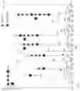 Fig. 07 - Methods of Host Cell Modification