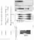 Fig. 24 - Methods of Host Cell Modification