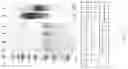 Fig. 27 - Methods of Host Cell Modification