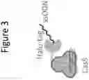 Fig. 04 - Cas9 fusion molecules, gene editing systems, and methods of use thereof