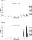 Fig. 04 - CARBONIC ANHYDRASE VARIANTS FOR IMPROVED CO2 CAPTURE